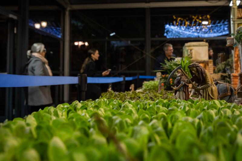 El nuevo belén municipal de Torrevieja, en imágenes