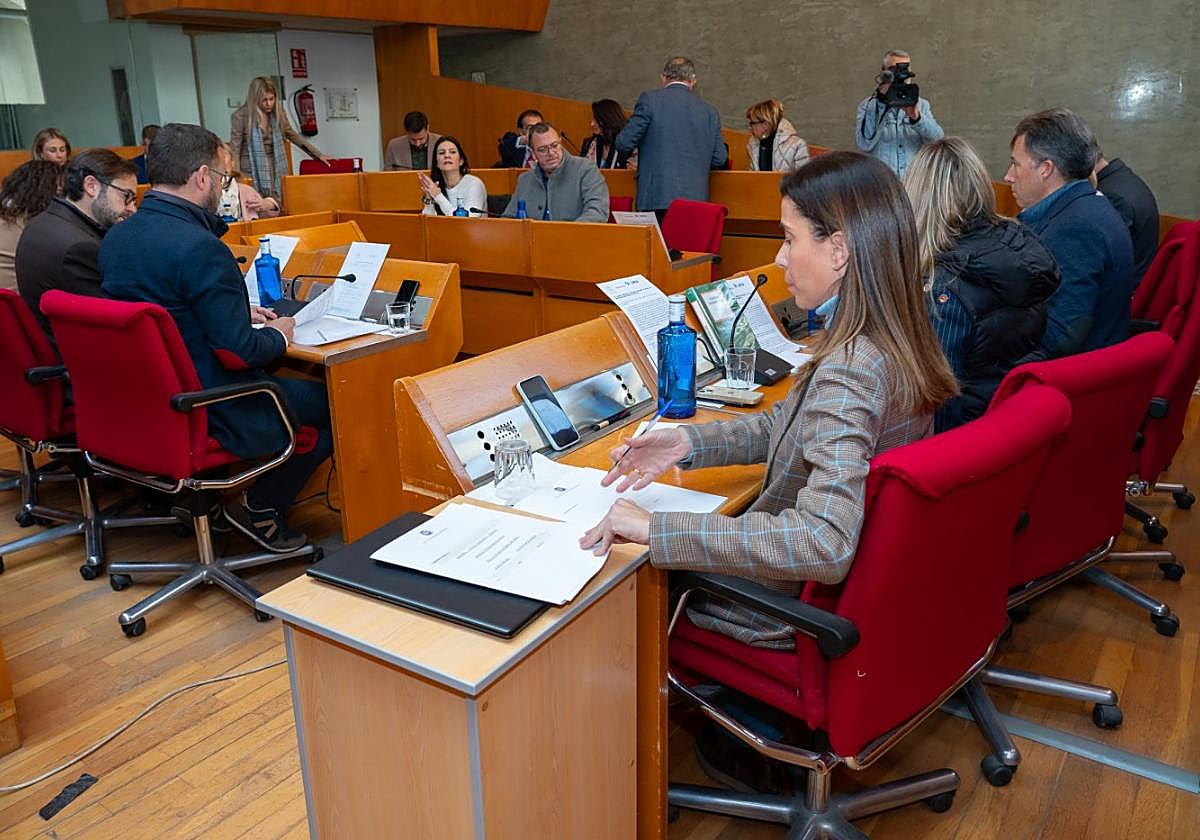 Pleno extraordinario celebrado a propuesta del PSOE, ayer.