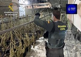 Un agente inspecciona el secadero.