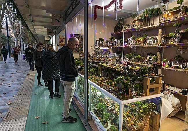 Muestra de Artesanía de la Región, en Alfonso X.