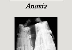 &#039;Anoxia&#039;: Sobre la oposición palabra-imagen