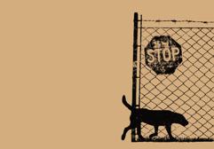 &#039;Perro fantasma&#039;: Poemas escritos desde la sordidez