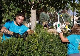 Dos personas trabajan para el ayuntamiento de Santomera por medio del SEF, en una imagen de archivo.