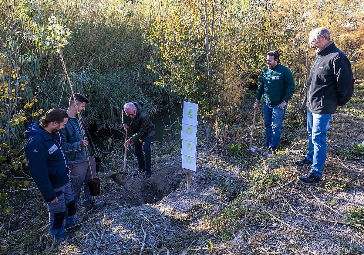 Plantación del árbol número 4.000 del bosque de ribera del río Segura, este martes.