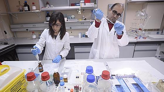 La Región de Murcia se estanca en I+D y digitalización tras una década de continuo avance