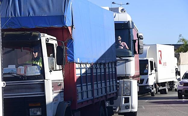 Froet alerta sobre el perjuicio a la mayor flota de camiones frigoríficos de España 