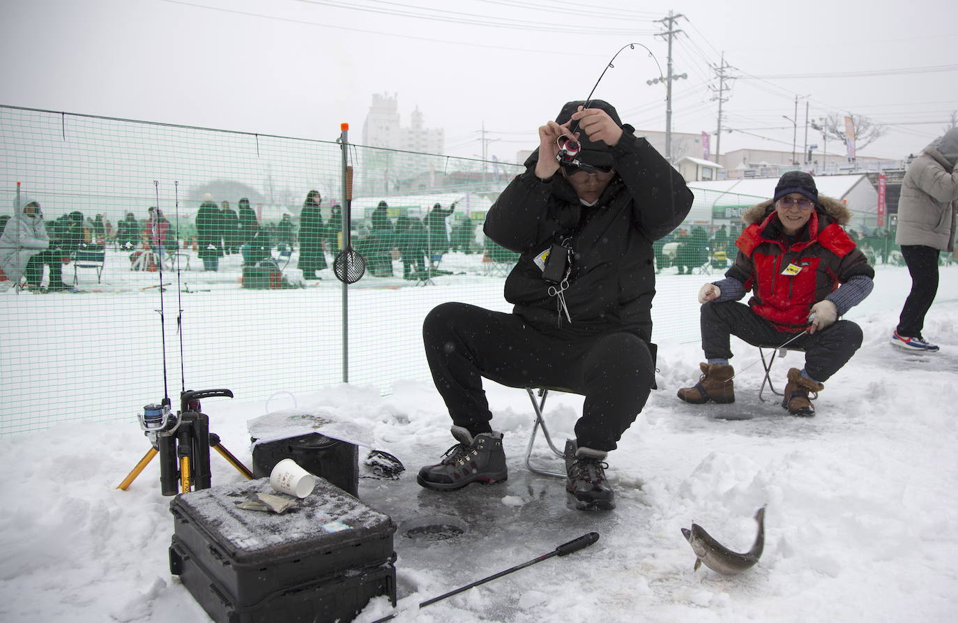 Fotos: Festival de Pesca de Hwacheon