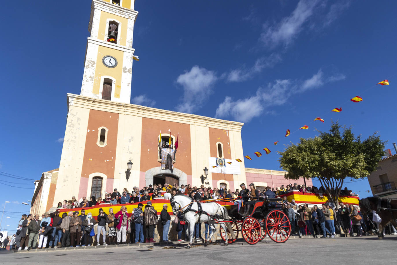 Fotos: Bendición de animales en Cartagena
