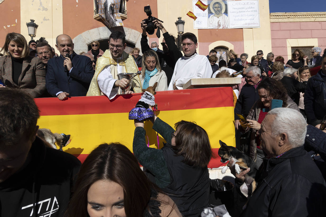 Fotos: Bendición de animales en Cartagena