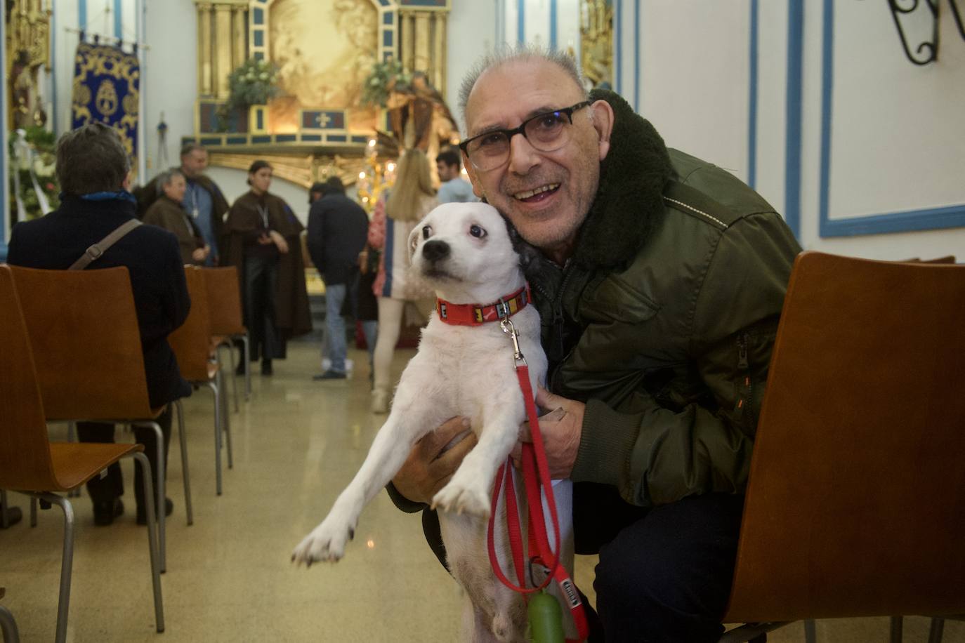 Fotos: Bendición de animales por San Antón en Murcia, en imágenes