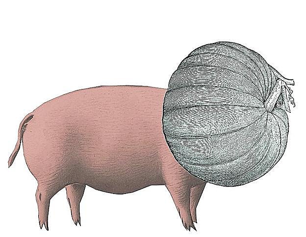 Churras y merinas vegetales (II)