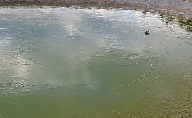 Los efectos de la ola de frío en Caravaca.