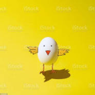 Fotos: Los equipos inscritos en Mi Periódico Digital, en imágenes