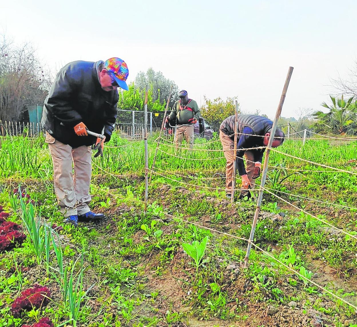 Dos alumnos en el curso de actividades auxiliares de jardinería. 