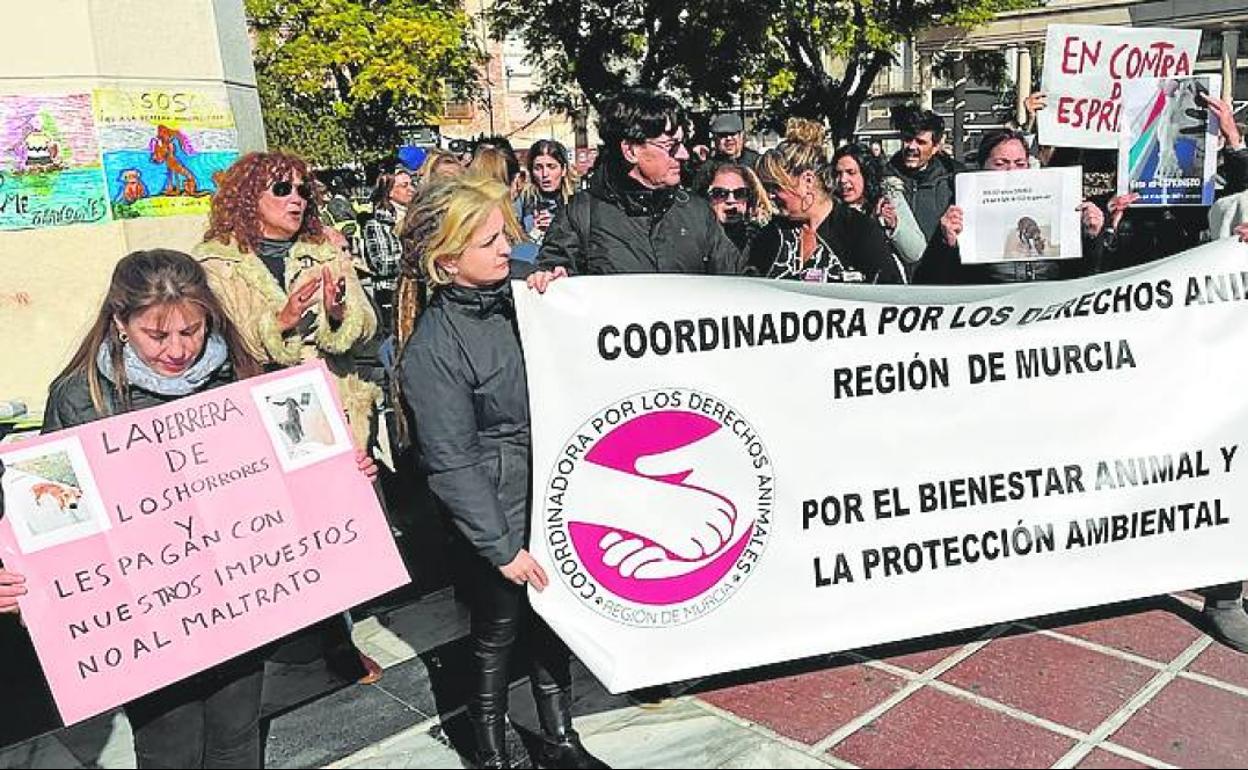 Vuelven a pedir en la calle una perrera «digna» en Cieza | La Verdad