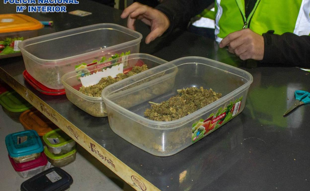 Cogollos de marihuana incautados por la Policía Nacional.