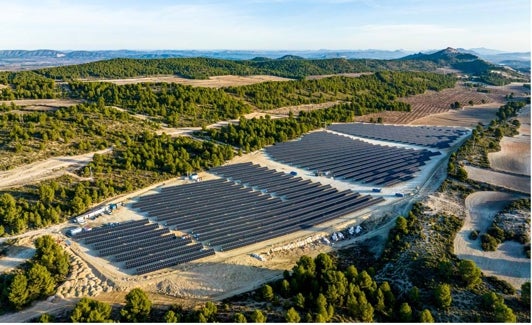 El parque solar construido en Caravaca de la Cruz. 