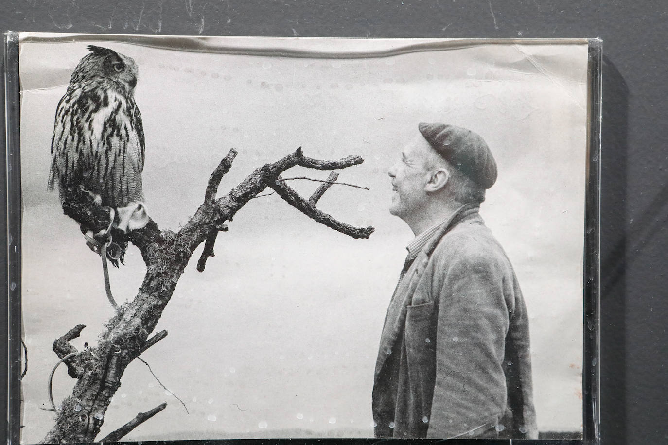 Fotos: Inauguración del Centro de Interpretación dedicado a Paco Rabal en Águilas