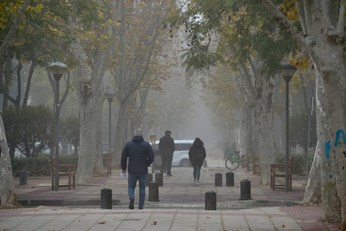 Fotos: La niebla cubre la Región, en imágenes