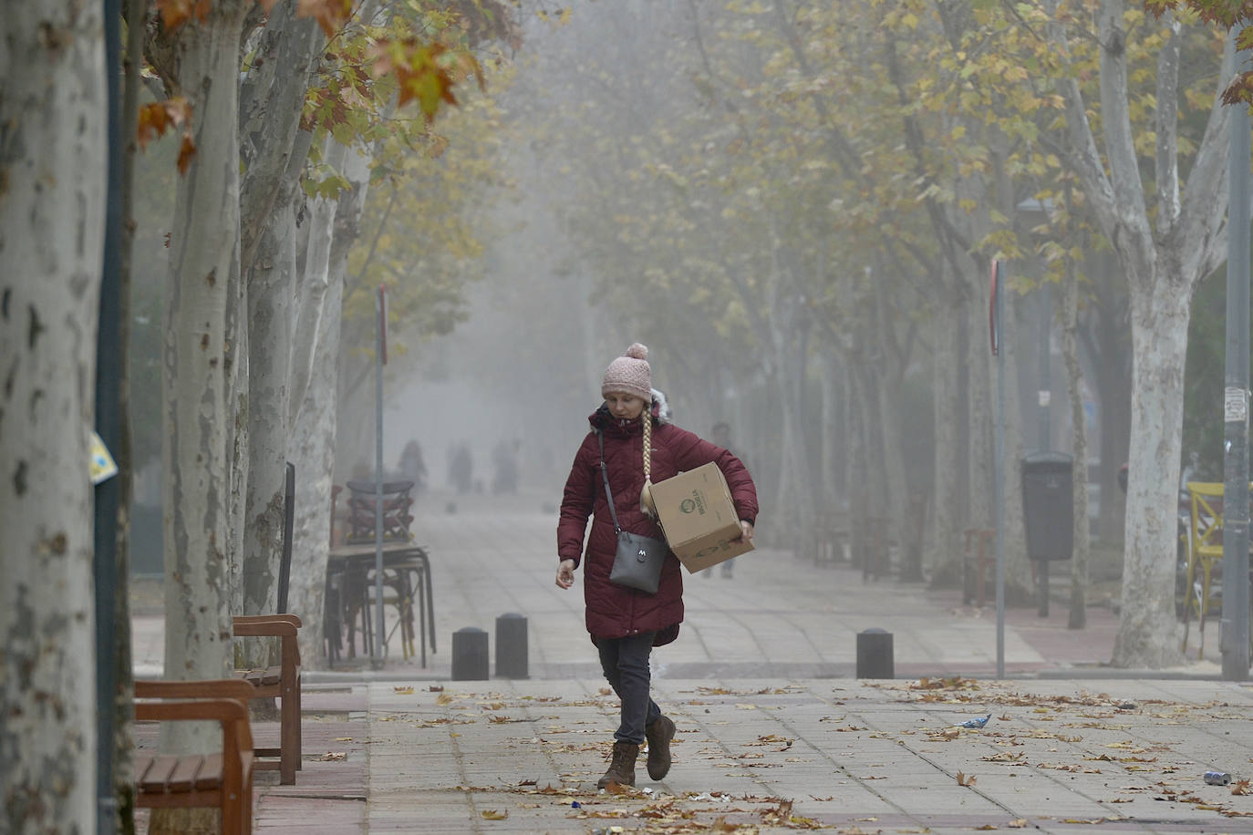 Fotos: La niebla cubre la Región, en imágenes