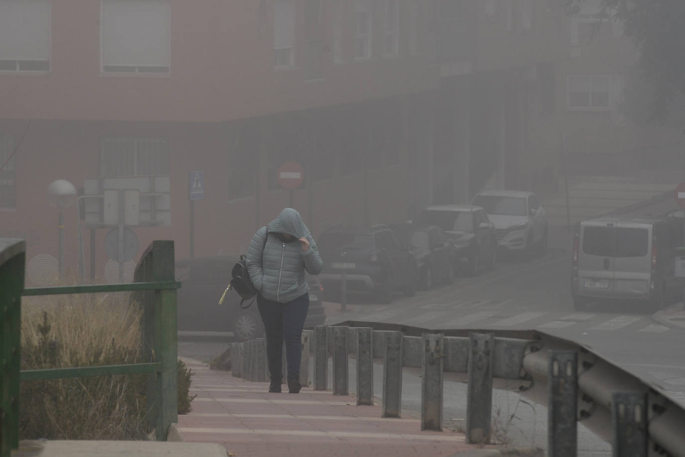 Fotos: La niebla cubre la Región, en imágenes