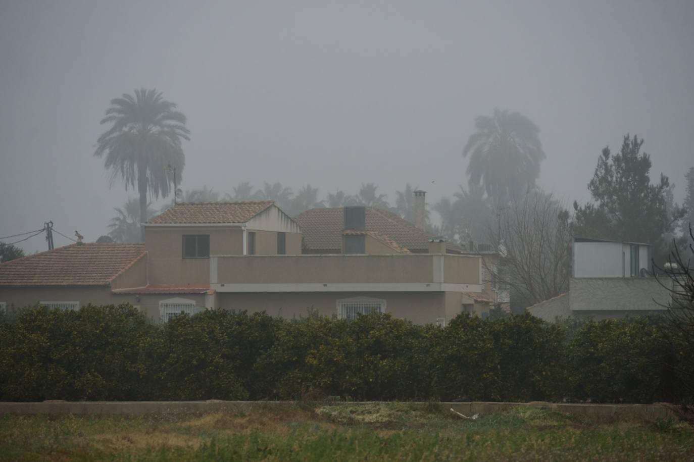 Fotos: La niebla cubre la Región, en imágenes