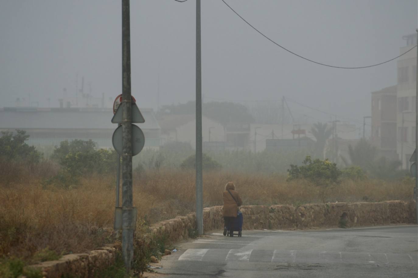 Fotos: La niebla cubre la Región, en imágenes