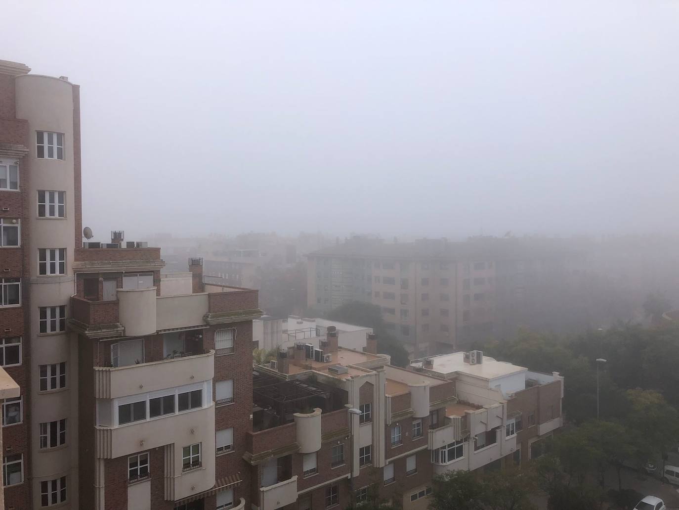 Fotos: La niebla cubre la Región, en imágenes