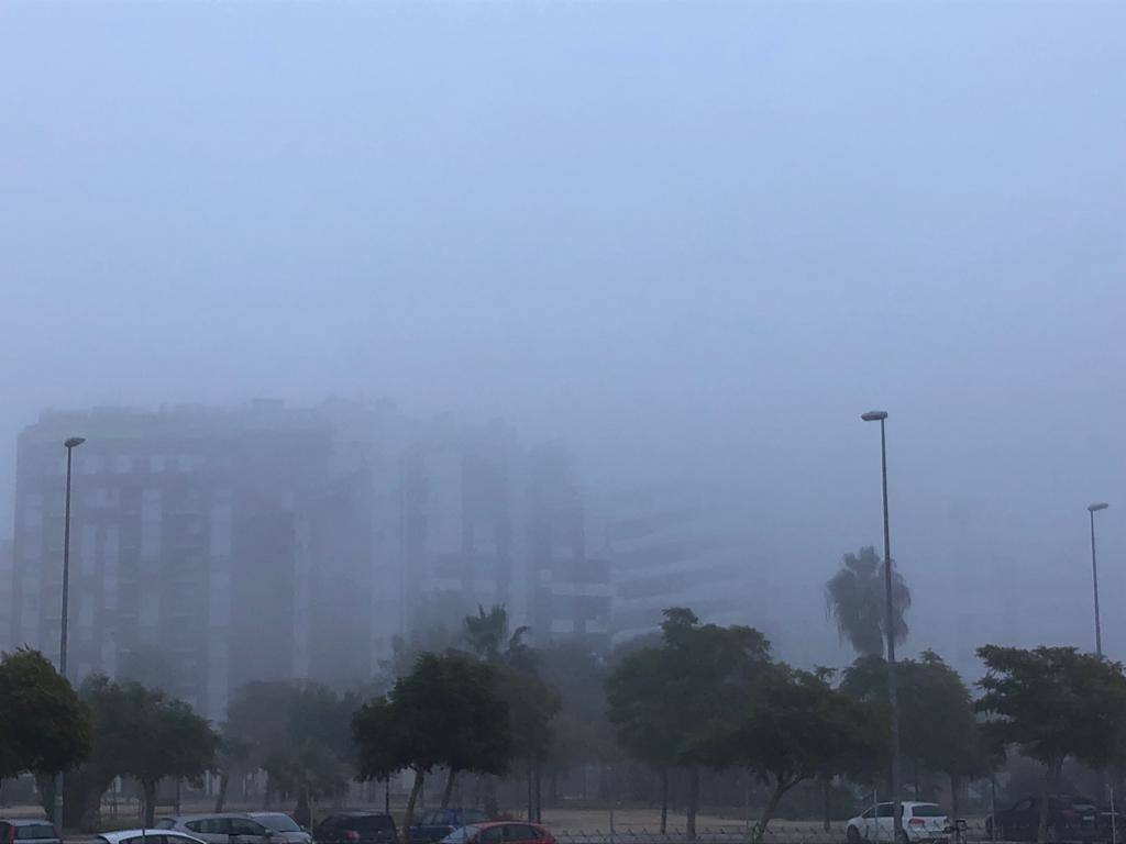 Fotos: La niebla cubre la Región, en imágenes