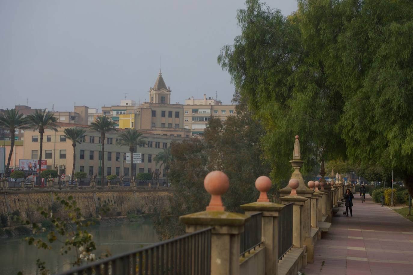 Fotos: La niebla cubre la Región, en imágenes