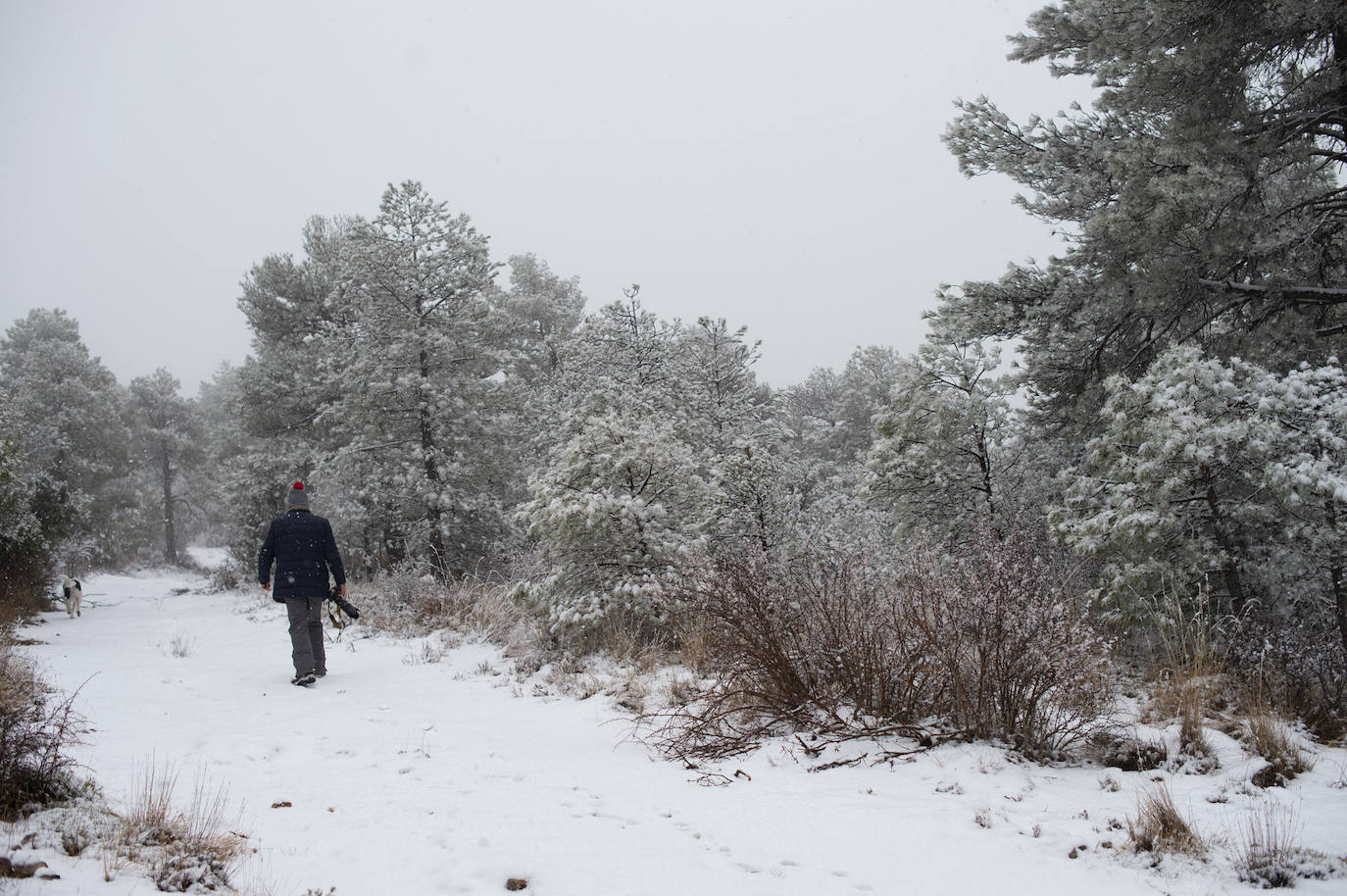 Fotos: La nieve en las pedanías altas de Caravaca y Moratalla, en imágenes