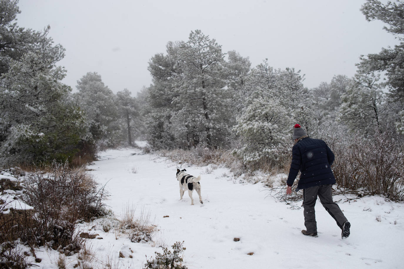 Fotos: La nieve en las pedanías altas de Caravaca y Moratalla, en imágenes