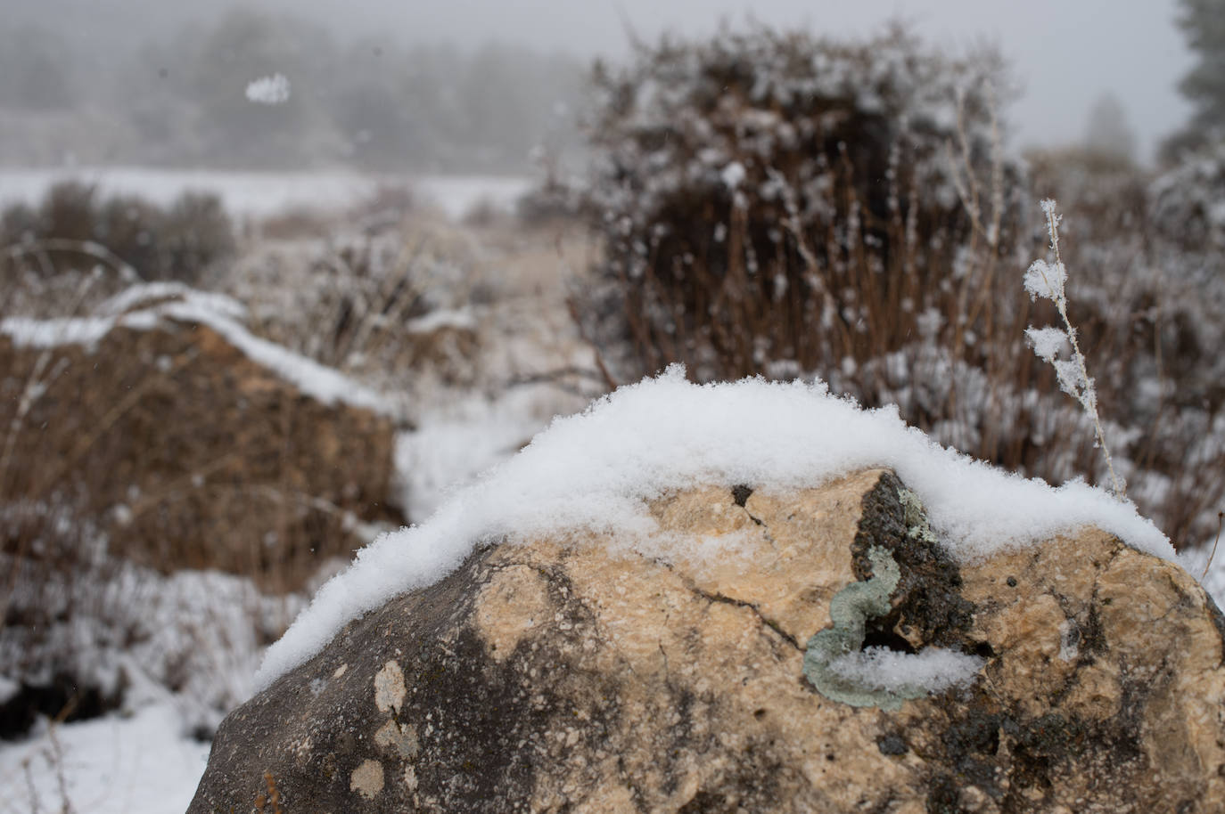 Fotos: La nieve en las pedanías altas de Caravaca y Moratalla, en imágenes