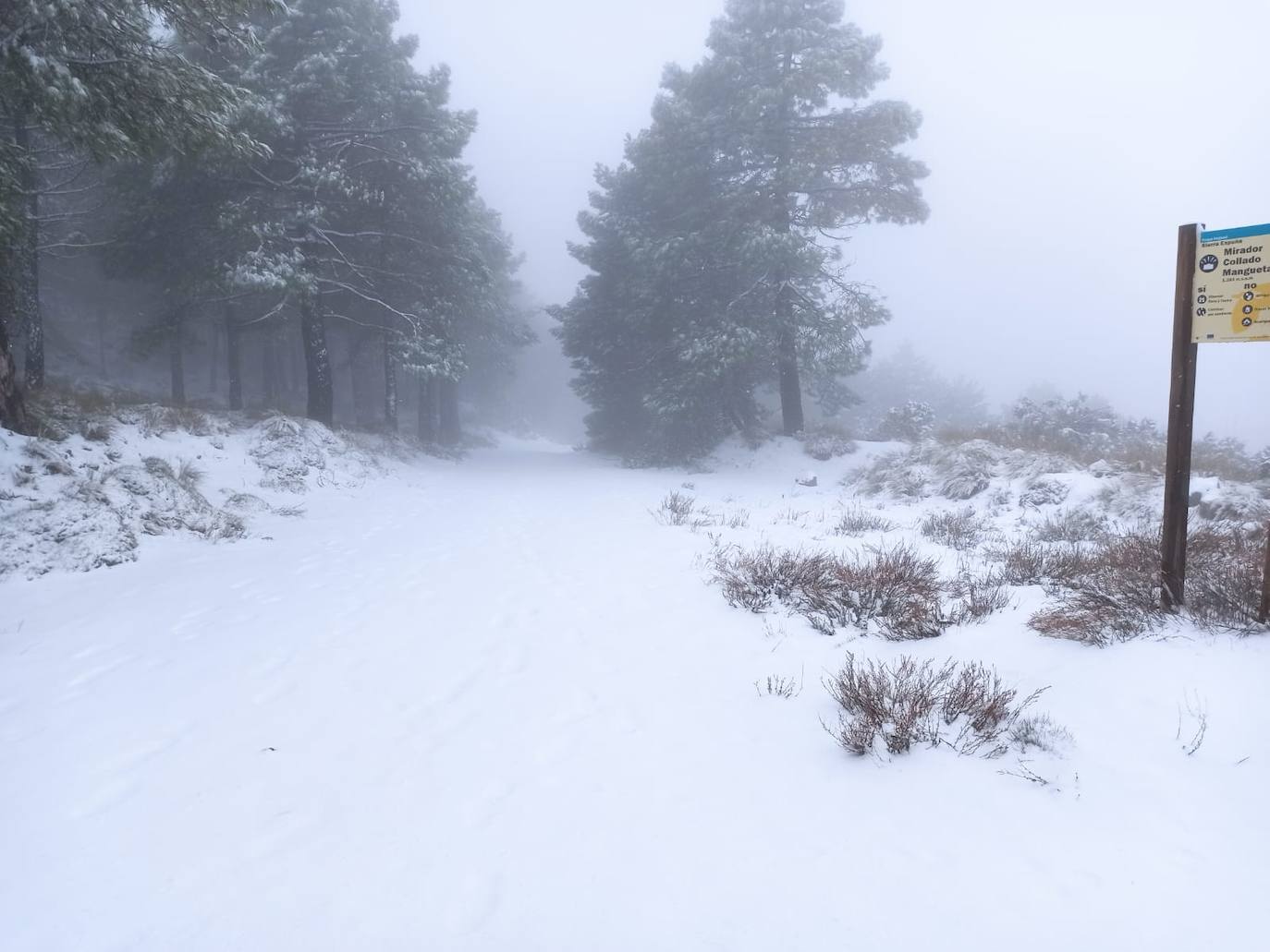 Fotos: Las cumbres de Sierra Espuña se tiñen de blanco por la nieve