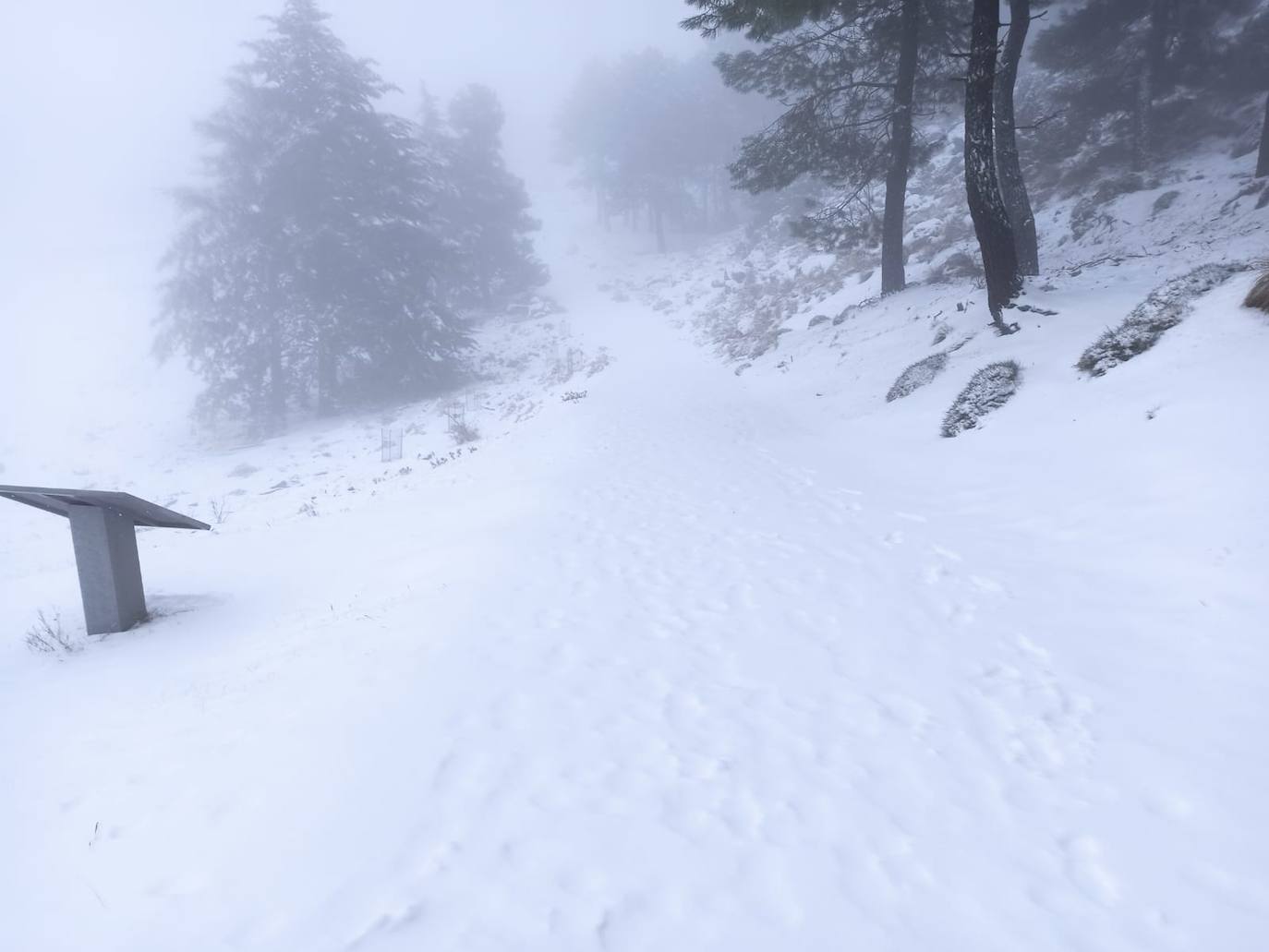 Fotos: Las cumbres de Sierra Espuña se tiñen de blanco por la nieve