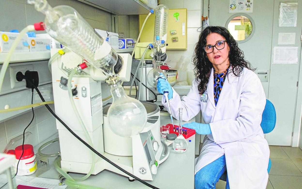 Sonia Medina en el Centro de Edafología y Biología Aplicada del Segura (CEBAS-CSIC). 