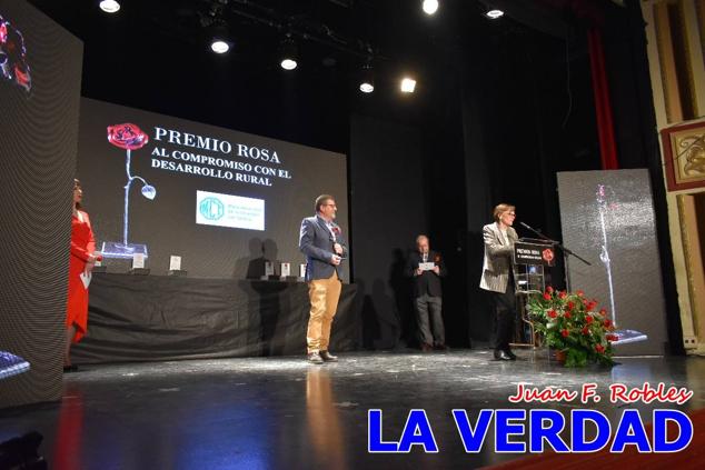 El teatro Thuillier acogió en la noche del pasado viernes el acto de entrega de la tercera edición de los Premios Rosa al Compromiso Social, organizado por el PSOE y Juventudes Socialistas. Los reconocimientos fueron entregados a Francisco Marín, presidente del gremio de editores de la Región de Murcia; a Juan Pedro Martínez, presidente de la cooperativa Frutas Caravaca; y a Francisca Baraza, presidenta de la Mancomunidad de los Canales del Taibilla.