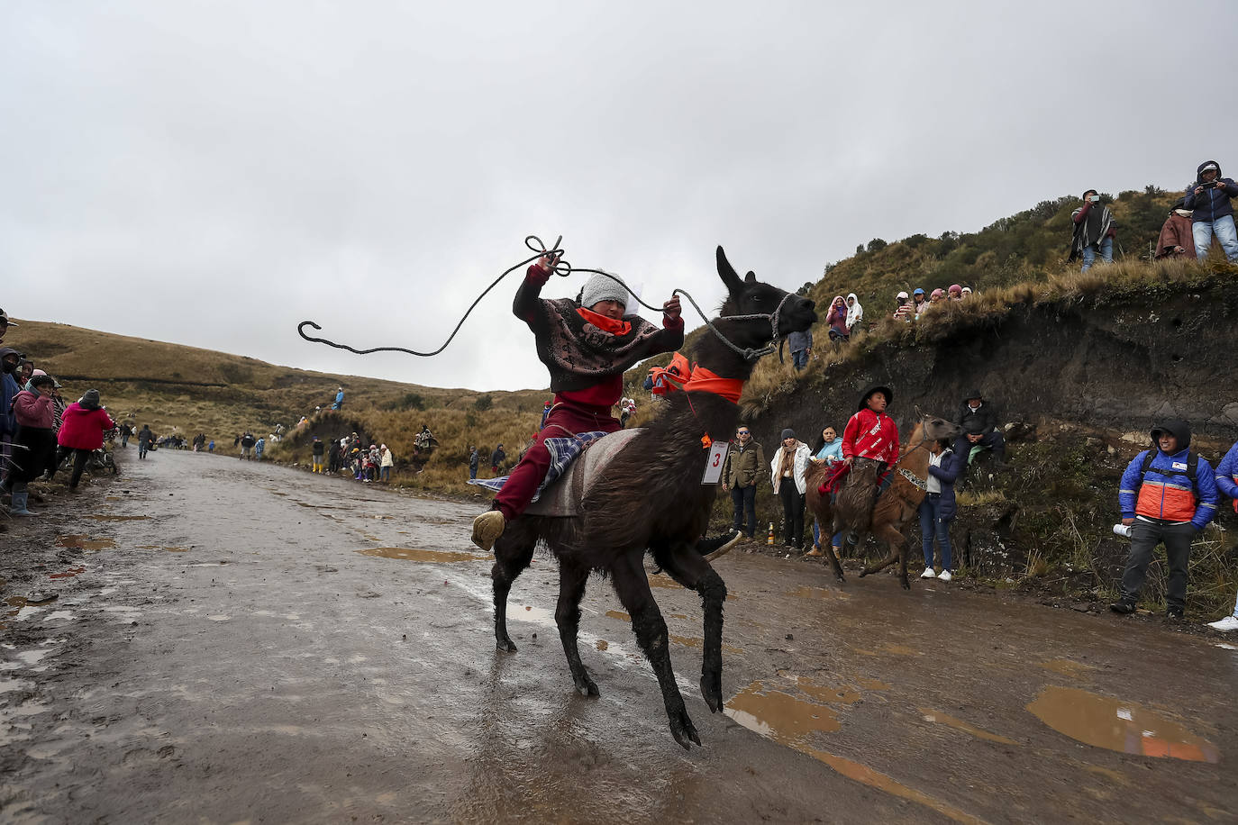 Fotos: Pequeños jinetes para las llamas de los Andes