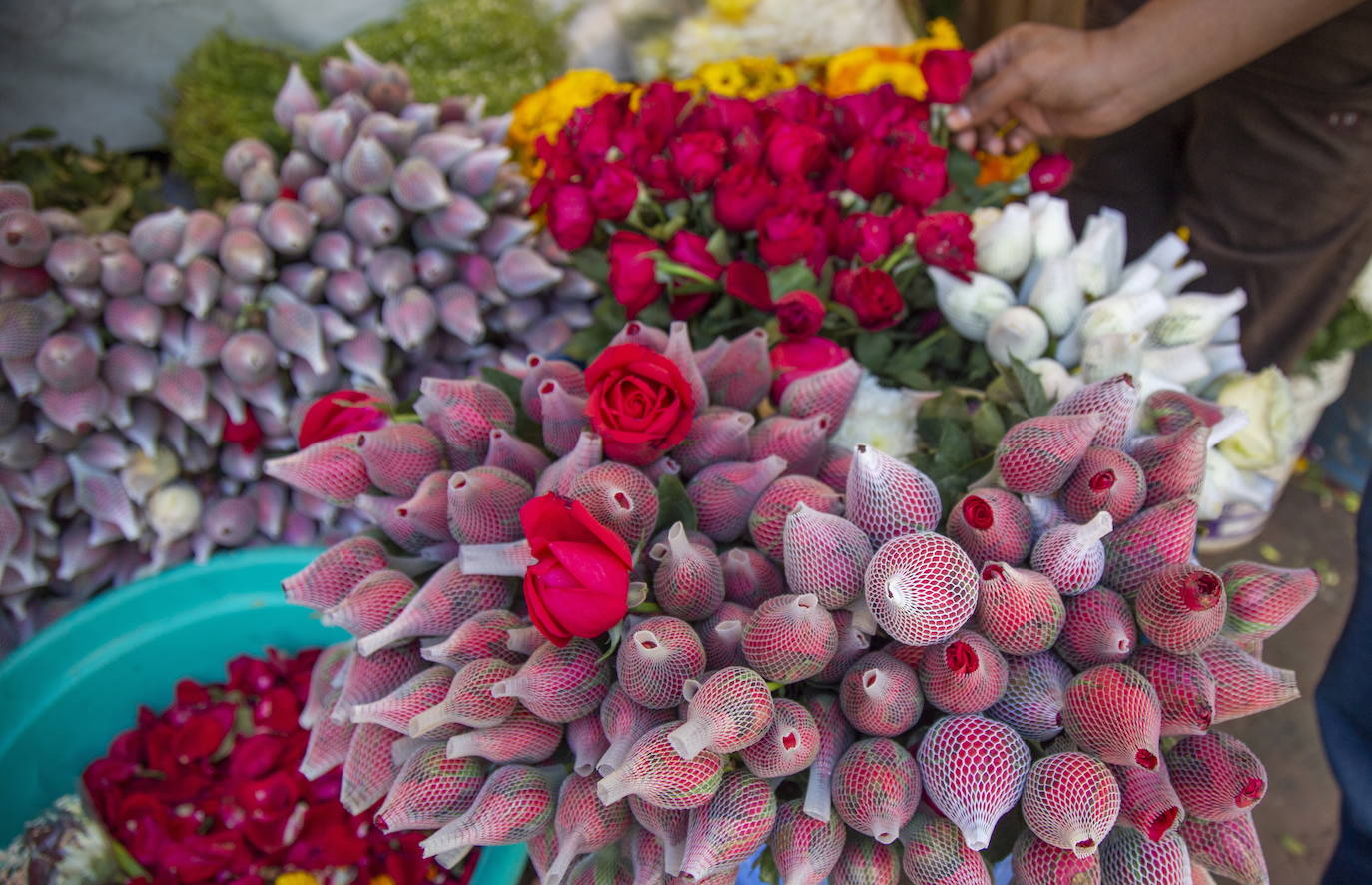 Fotos: Primavera, flores y amor