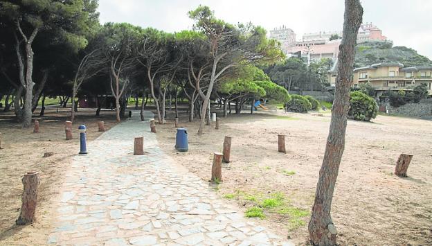 Tree grates from the pines removed from the cove last week. 