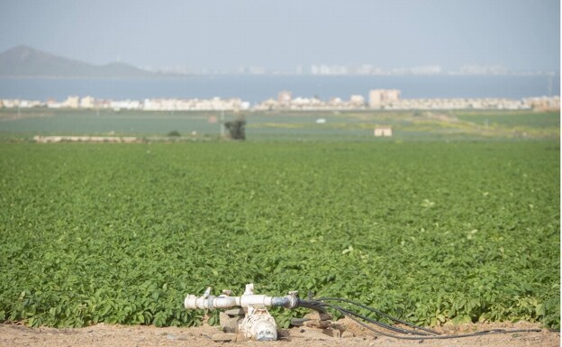 Farm in the Los Nietos area, with the Mar Menor in the background. 
