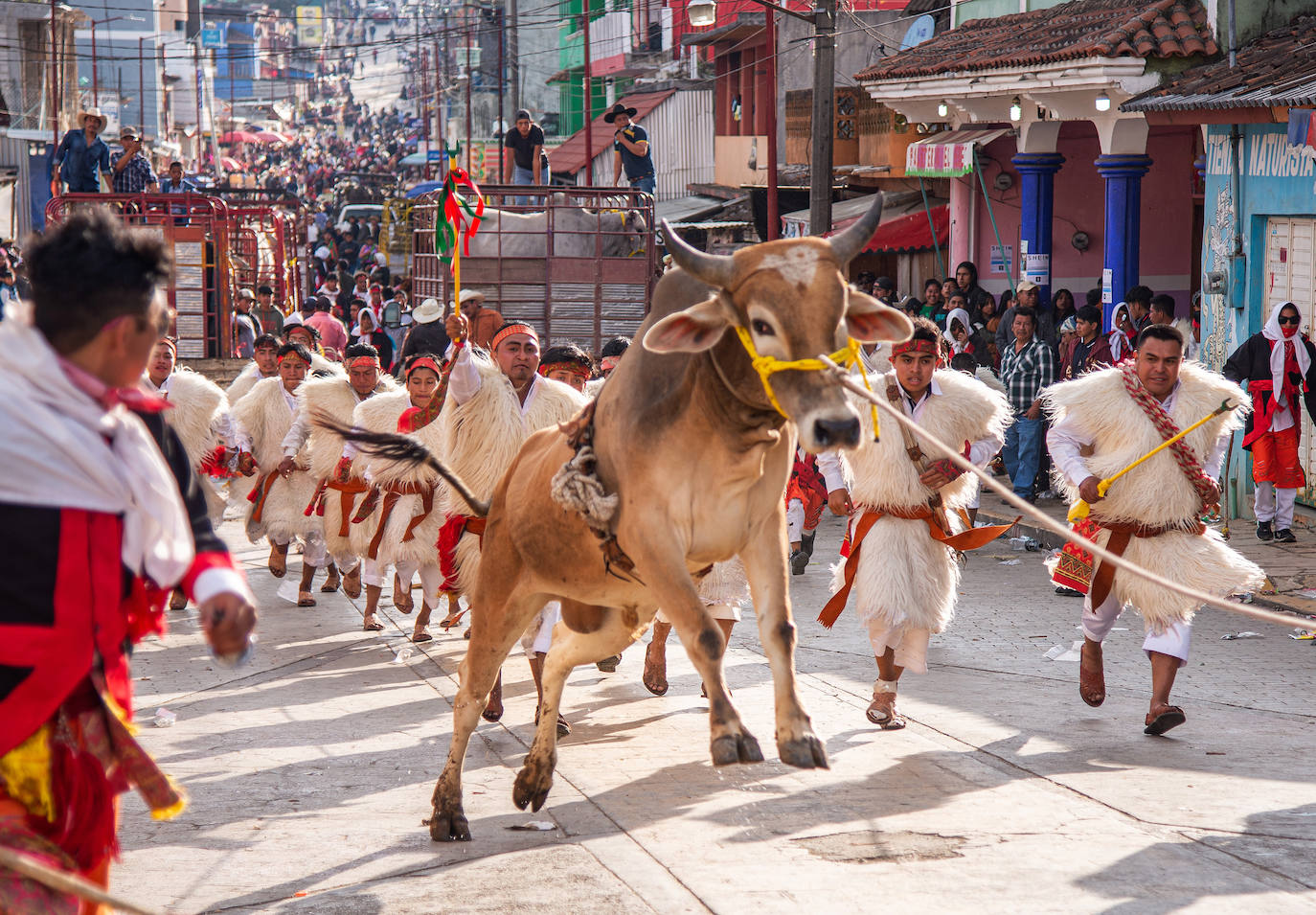 Fotos: Jugando con toros