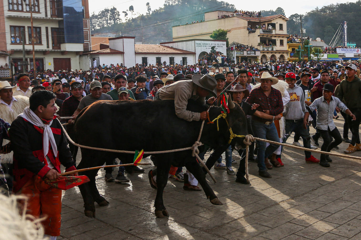 Fotos: Jugando con toros