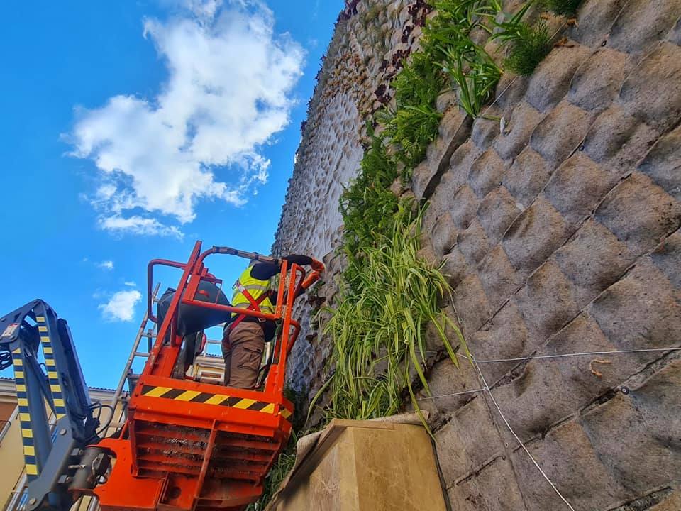 Empleados de la empresa proceden a la plantación de las plantas en el jardín vertical. 