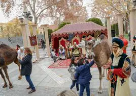 Los niños se acercan a los dromedarios que acompañan a los pajes de los Magos de Oriente en el Campamento Real.