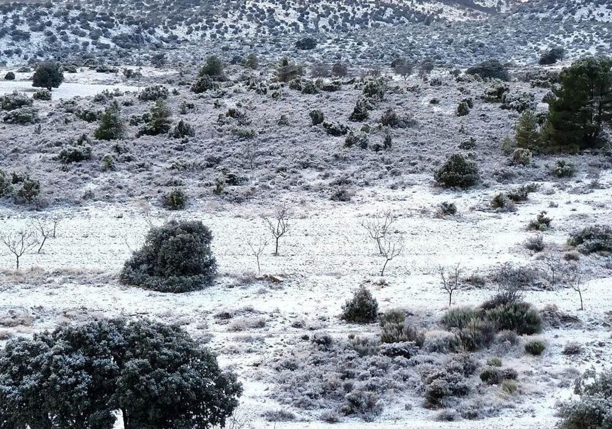 Main image - Snow in Inazares, this Friday.