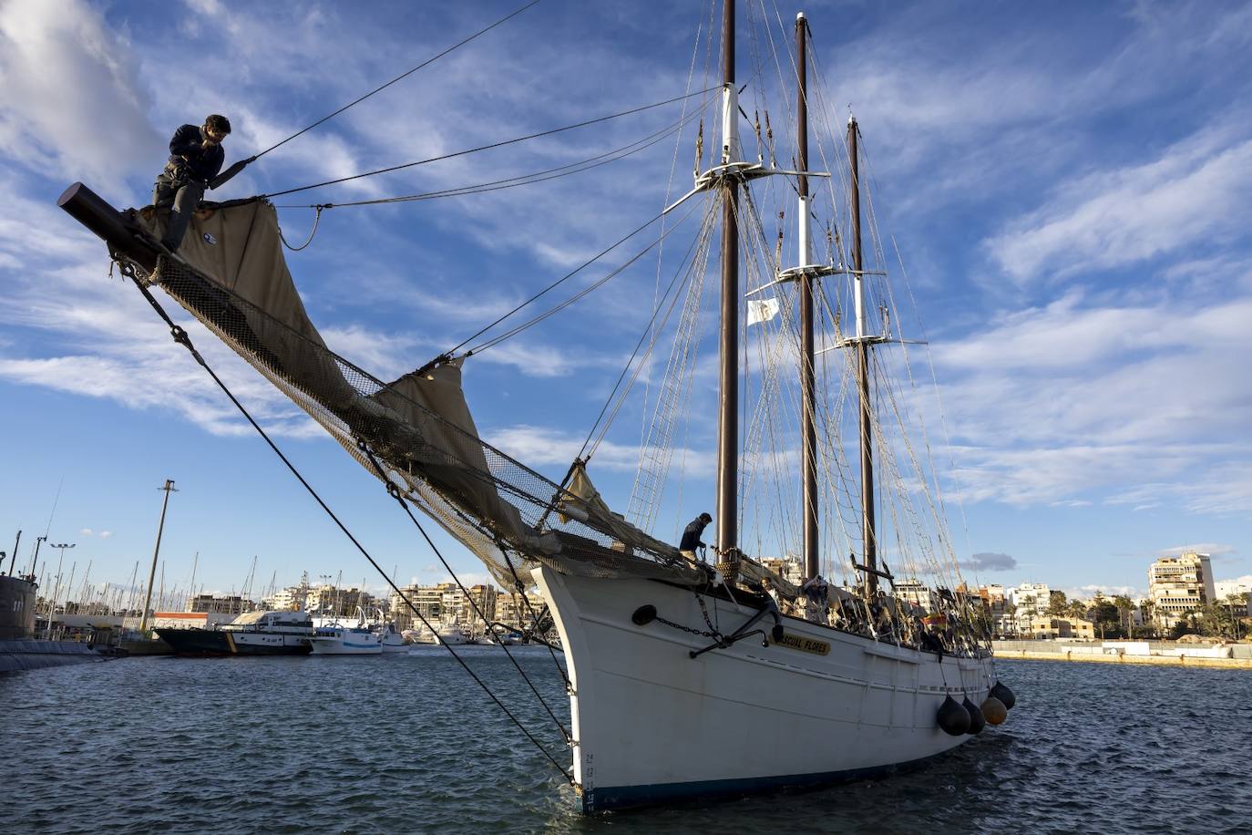 La cabalgata de Reyes Magos de Torrevieja, en imágenes