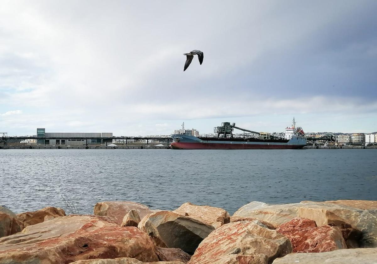Un buque de gran tonelaje carga sal, el pasado viernes, en el dique de Poniente del puerto de Torrevieja.