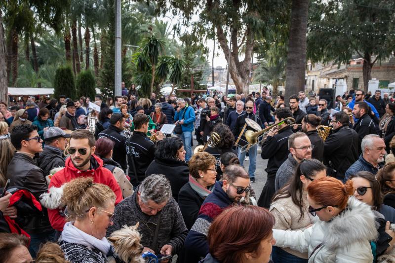 Las imágenes del día de San Antón en Orihuela