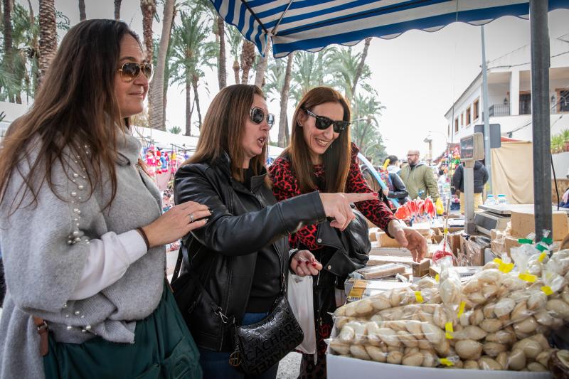 Las imágenes del día de San Antón en Orihuela